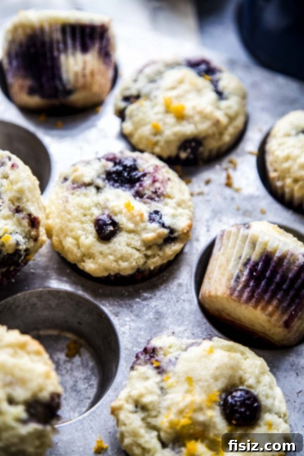 Double Blueberry Citrus Burst Muffins 3 Close-up of a stack of Double Blueberry Citrus-Topped Muffins on a white plate, highlighting the citrus zest