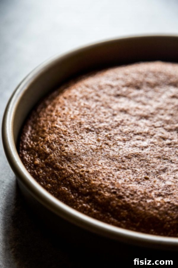 Honey Citrus Vanilla Cake 4 honey cake baked with no frosting