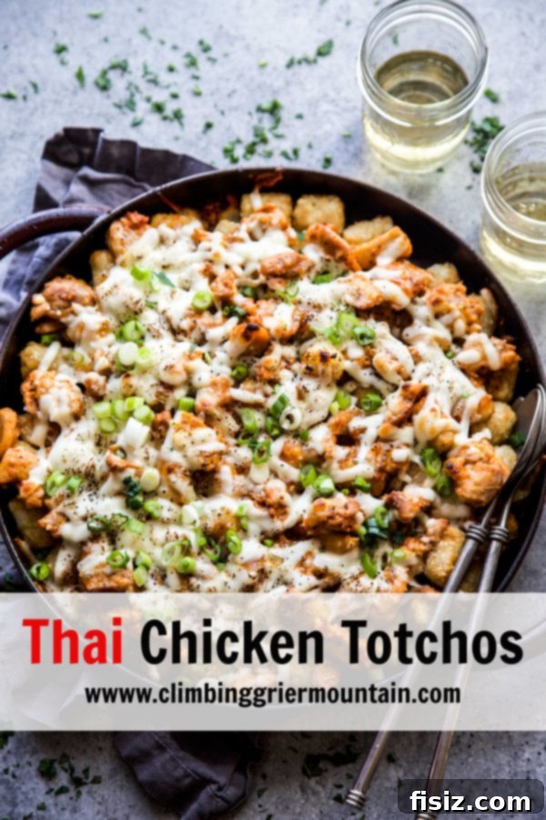 Spicy Thai Chicken Totchos 9 www.climbinggriermountain.com