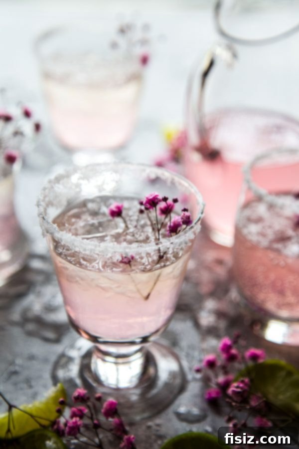 Sparkling Rosé Margaritas 3 Effervescent Pink Champagne Margaritas for Celebrations