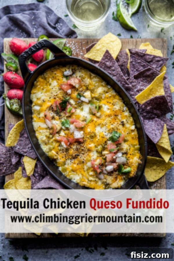 Drunken Chicken Queso Fundido 9 A close-up shot of the delicious Tequila Chicken Queso Fundido