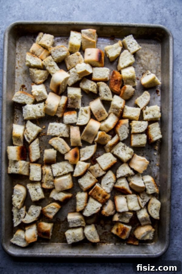 Warm Burrata, Roasted Tomato, and Rustic Bread Medley 5 Crispy roasted baguette cubes on a baking sheet, ready to be tossed