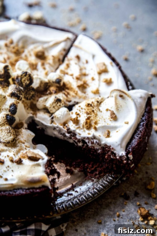 Effortless Smores One Bowl Bake 3 Close-up of One-Bowl S'mores Cake with beautifully piped marshmallow frosting