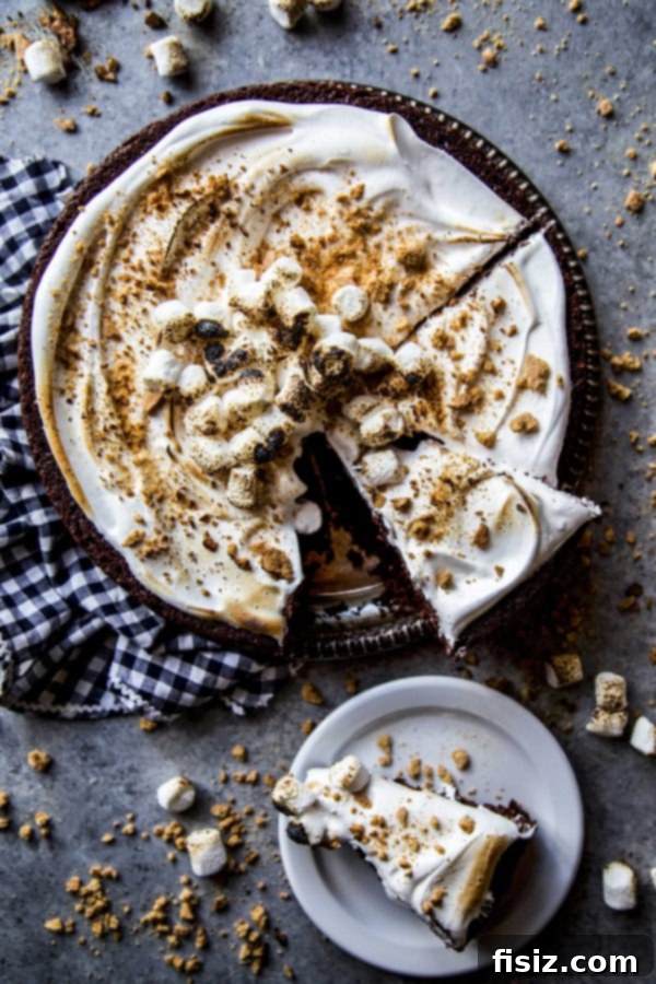 Effortless Smores One Bowl Bake 6 Full view of the elegantly frosted One-Bowl S'mores Cake on a cake stand