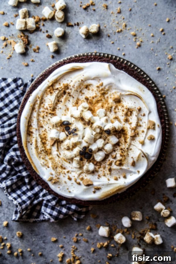 Effortless Smores One Bowl Bake 7 Close-up of a delicious slice of One-Bowl S'mores Cake