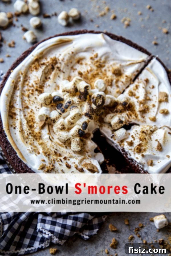Effortless Smores One Bowl Bake 8 A final close-up of the delightful S'mores Cake, garnished with graham crackers and ready to serve