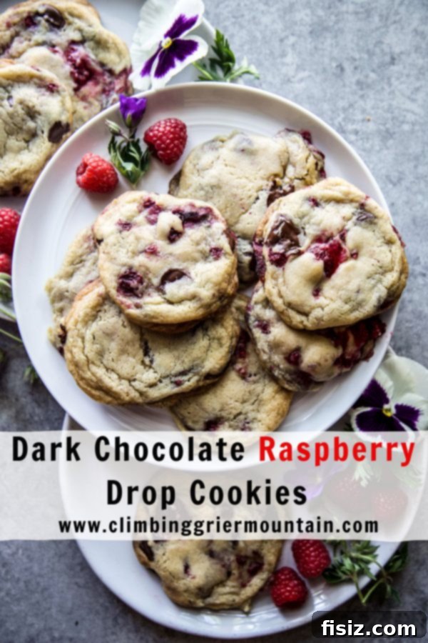 Dark Chocolate Raspberry Bliss Cookies 7 A final close-up of a Dark Chocolate Raspberry Drop Cookie with a bite taken out, showing its soft interior and fruit.
