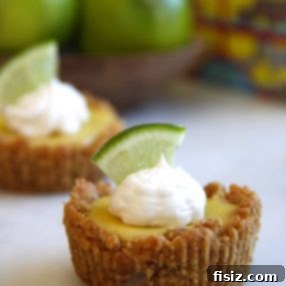 Mini Key Lime Pies with Animal Cracker Crust