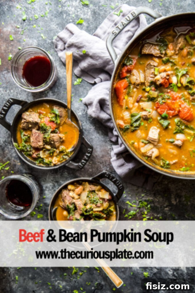 Hearty Beef and Bean Pumpkin Stew 10 www.thecuriousplate.com
