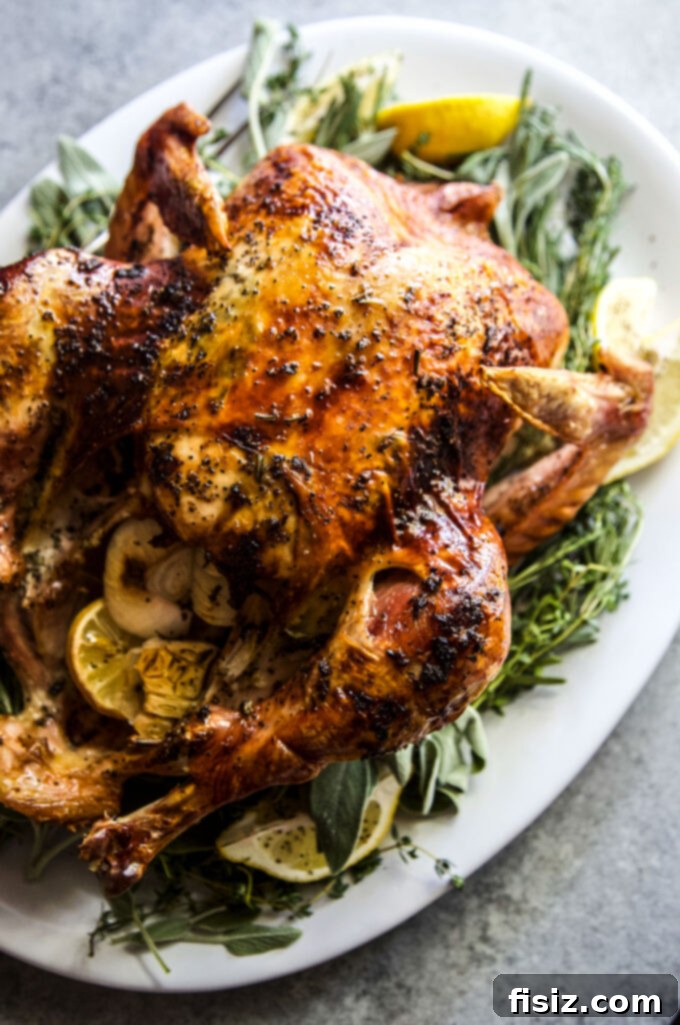Zesty Herb Butter Roasted Turkey 2 Herb Citrus Butter Roasted Turkey, the perfect centerpiece for Thanksgiving dinner.