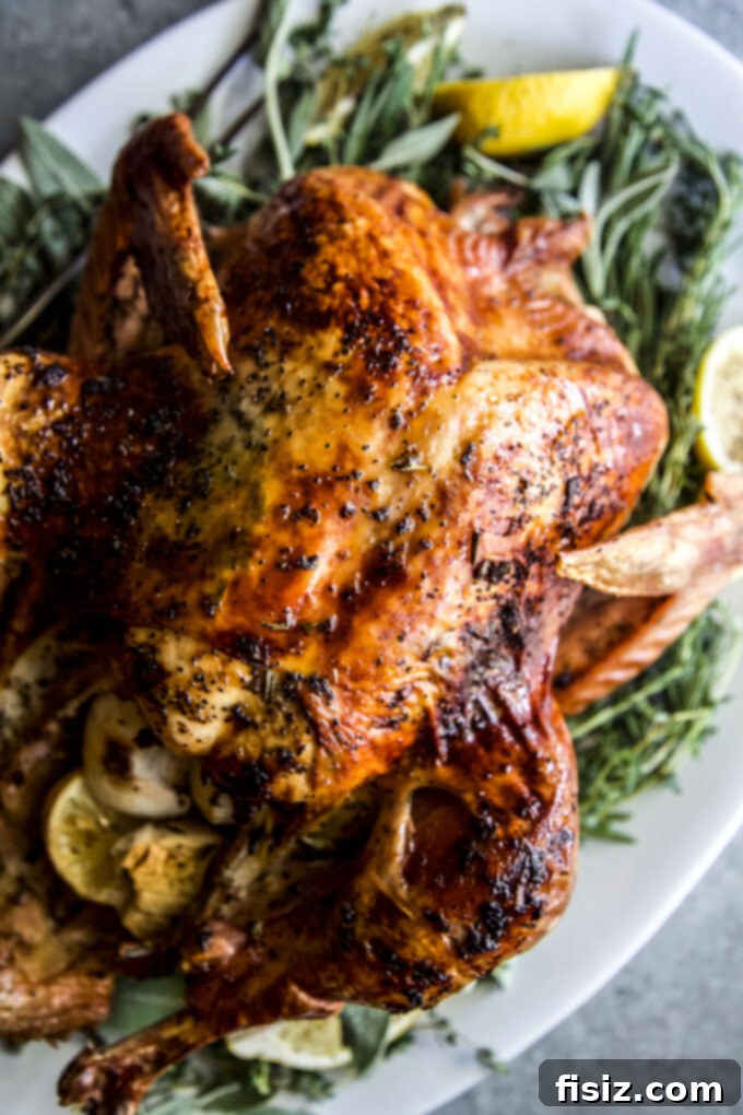 Zesty Herb Butter Roasted Turkey 3 Close-up of Herb Citrus Butter Roasted Turkey, golden brown and garnished with fresh herbs.