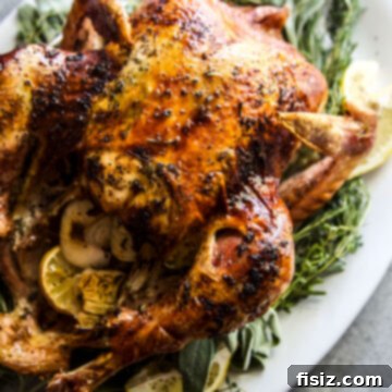 Zesty Herb Butter Roasted Turkey 9 Herb Citrus Butter Roasted Turkey, ready for the holiday table.