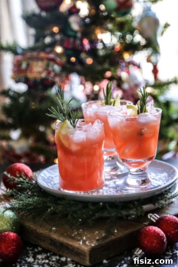 My December Making Lineup 3 christmas-morning-punch