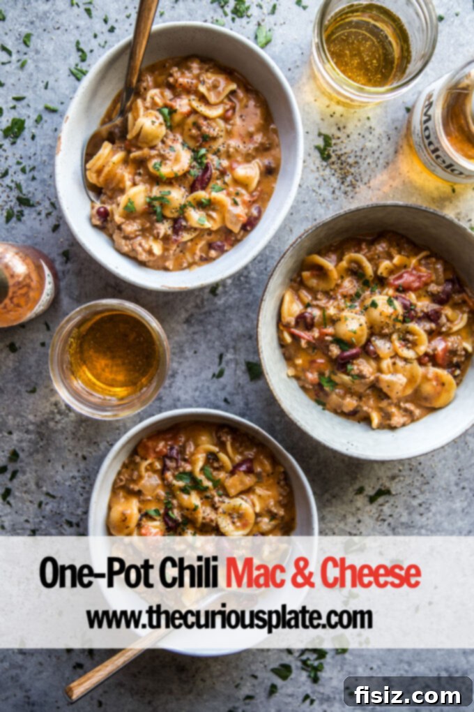 Irresistible One-Pot Chili Mac and Cheese 9 Hearty and comforting One-Pot Chili Mac & Cheese, garnished and ready to eat