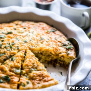 Tex-Mex Egg Bake 8 Tex-Mex Crustless Quiche www.thecuriousplate.com