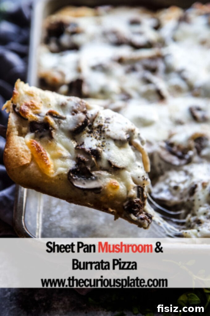 Creamy Burrata Mushroom Sheet Pan Pizza 9 Final shot of the delicious Sheet Pan Mushroom & Burrata Pizza, perfectly golden and inviting.