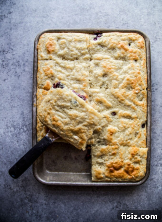 A smaller baking dish filled with blueberry and blood orange pancake batter, demonstrating an alternative pan size for baking.