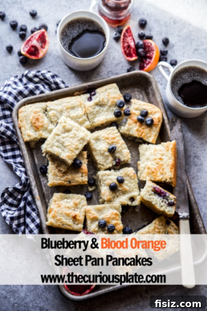 The full sheet pan of baked Blueberry & Blood Orange Pancakes, sliced and ready for serving, showcasing a perfect golden crust.