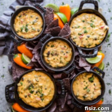 slow cooker tex mex queso