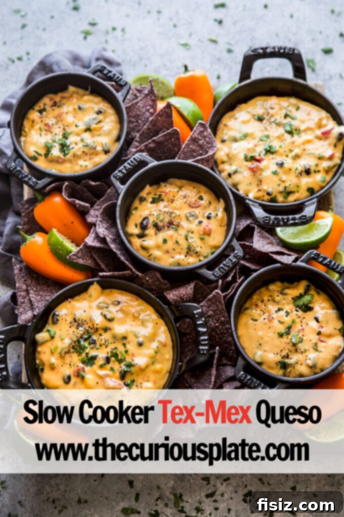 Creamy Slow Cooker Tex-Mex Queso 10 Scoop of slow cooker Tex-Mex queso on a tortilla chip