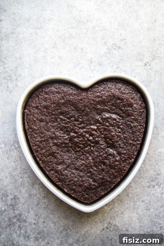 Rich Heart-Shaped Chocolate Cake with Decadent Chocolate Cream Cheese Frosting 5 Ingredients for Chocolate Cake - Wet Mix