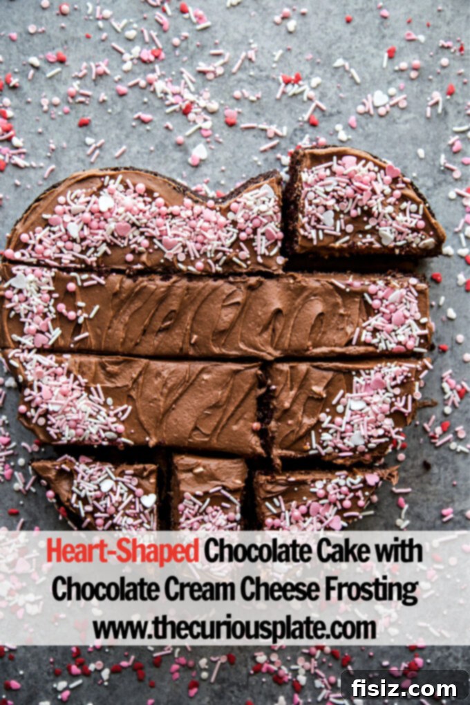 Rich Heart-Shaped Chocolate Cake with Decadent Chocolate Cream Cheese Frosting 8 HEART-SHAPED CHOCOLATE CAKE WITH CHOCOLATE CREAM CHEESE FROSTING close-up of slice
