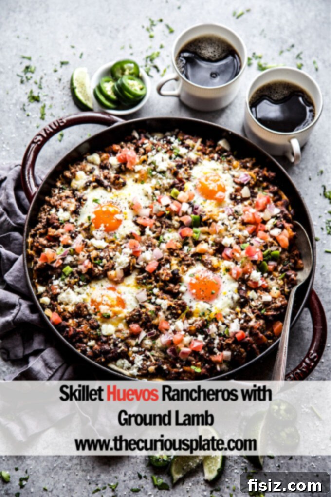 Savory Ground Lamb Huevos Rancheros Skillet 11 Skillet Huevos Rancheros with Ground Lamb www.thecuriousplate.com