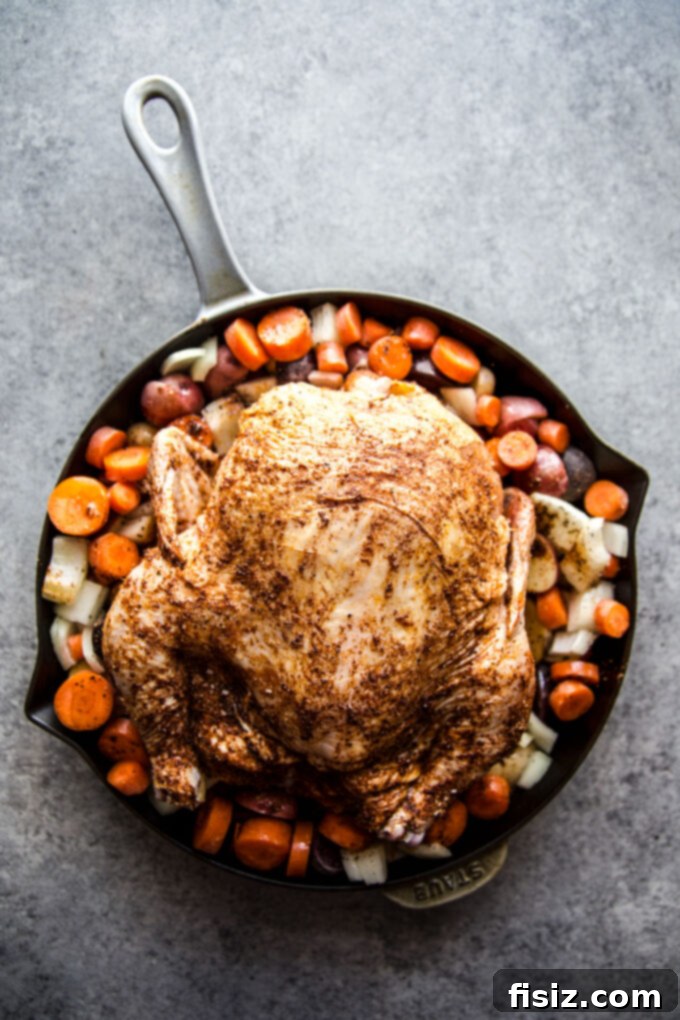 Whole chicken before seasoning
