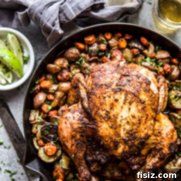 One-Skillet Mexican Chicken with roasted vegetables