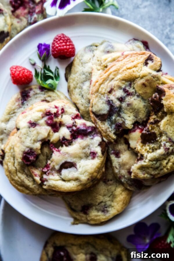 May Projects On My Radar 6 Dark Chocolate Raspberry Drop Cookies