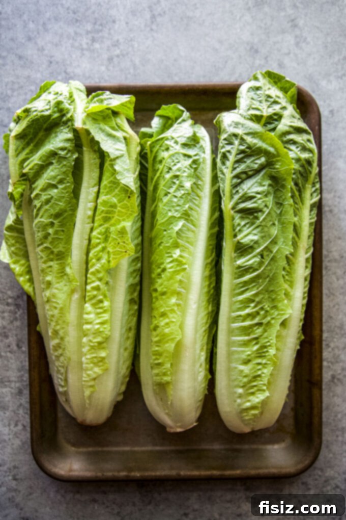 Charred Romaine with Golden Garlic Crumbs 4 Close-up of a romaine lettuce head sliced lengthwise, showing the sturdy core.
