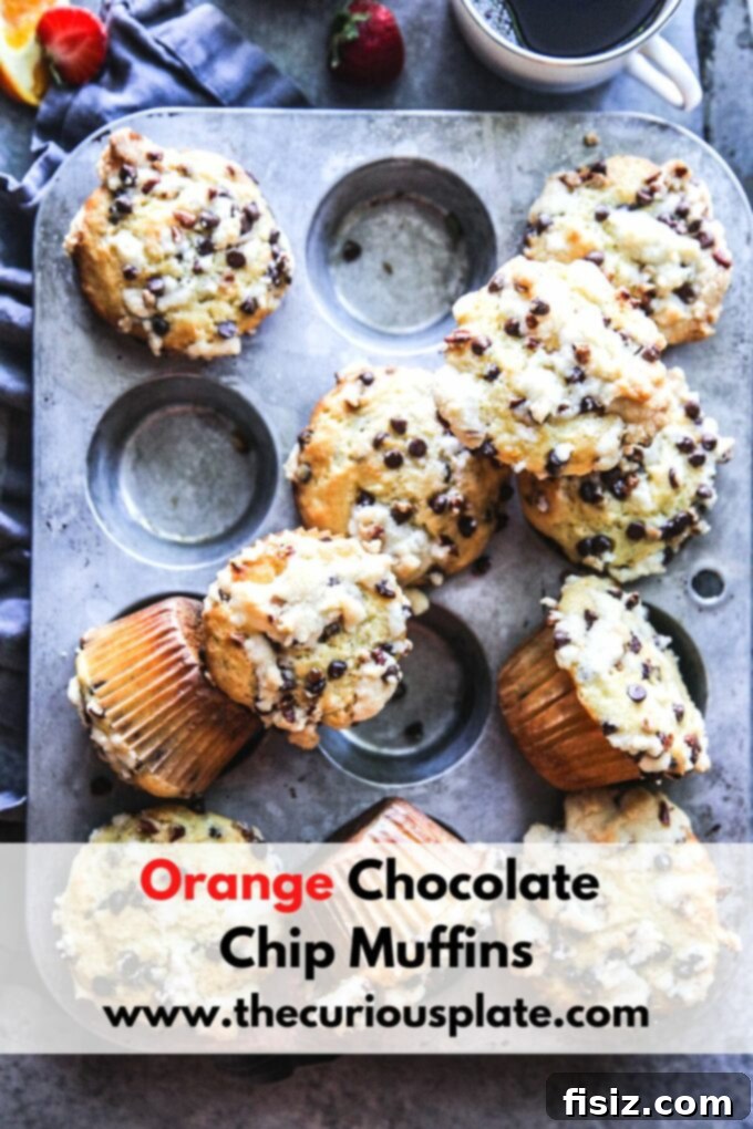 Zesty Orange Chocolate Chip Muffins 11 Final shot of a plate of Orange Chocolate Chip Muffins