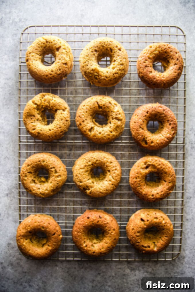 Maple Kissed Baked Pumpkin Doughnuts 7 Various pre-frosted baked doughnuts on a cooling rack