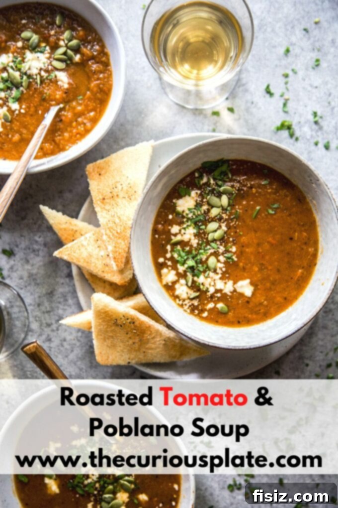 Charred Tomato Poblano Bisque 11 roasted tomato and poblano soup www.thecuriousplate.com