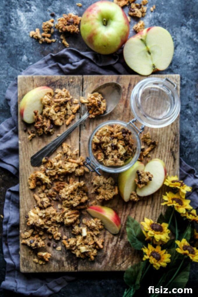 October's Most Anticipated Creations 10 Homemade Chunky Chocolate Peanut Butter Apple Granola - A Healthy and Delicious Snack