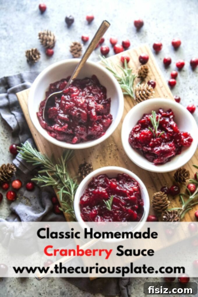 Heirloom Homemade Cranberry Sauce 11 Classic Homemade Cranberry Sauce