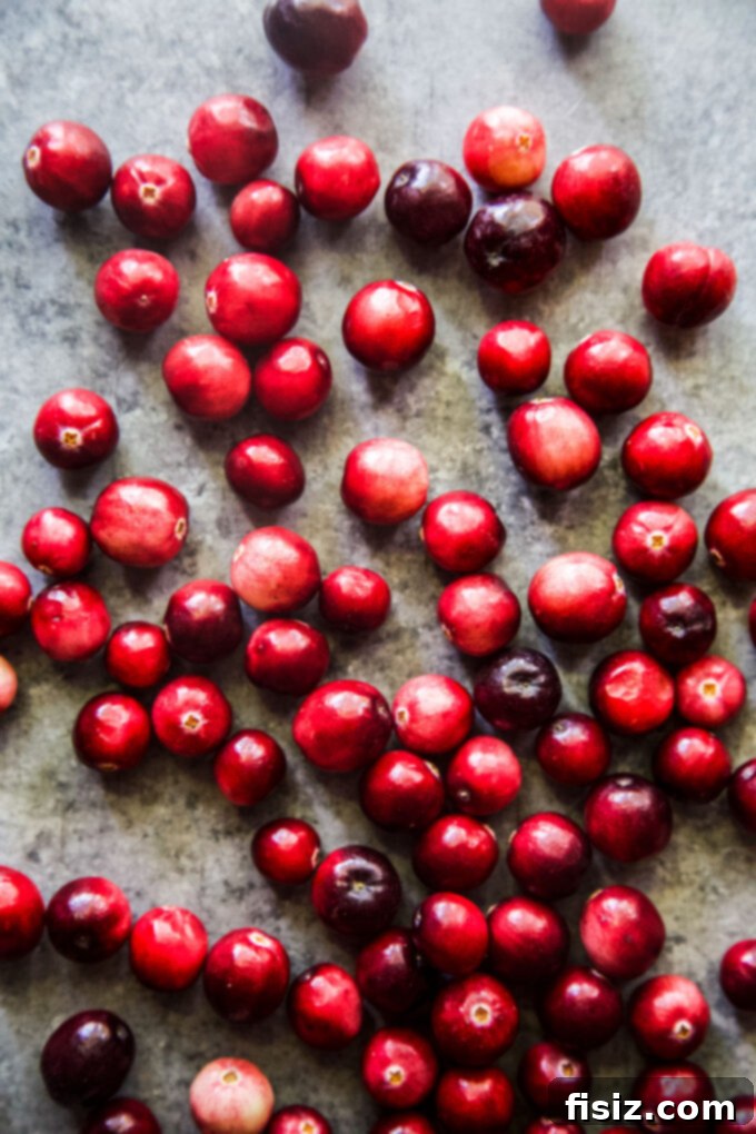 Heirloom Homemade Cranberry Sauce 4 fresh cranberries on a table