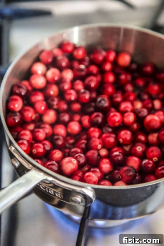 Heirloom Homemade Cranberry Sauce 5 fresh cranberries in a skillet