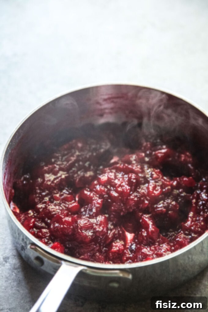 Heirloom Homemade Cranberry Sauce 7 cooling cranberry sauce in a skillet