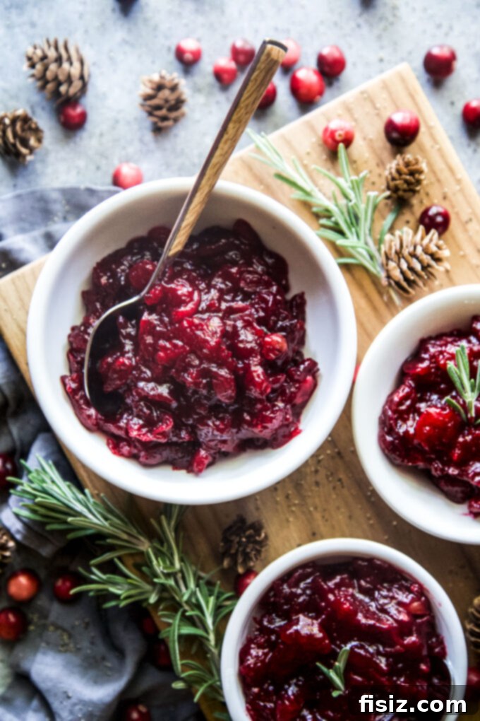 Heirloom Homemade Cranberry Sauce 8 Classic Homemade Cranberry Sauce