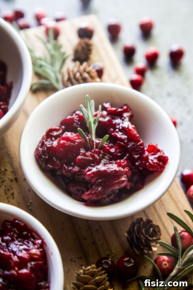 Heirloom Homemade Cranberry Sauce 9 Classic Homemade Cranberry Sauce