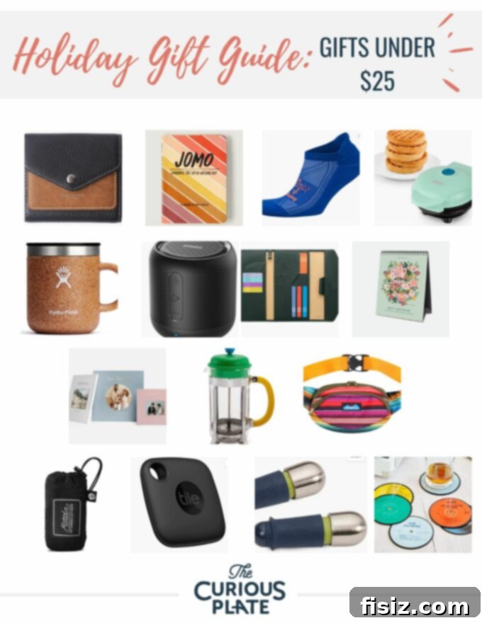 2022 Holiday Gift Guide Top Picks Under 25 2 2022 Holiday Gift Guide Gifts Under $25 www.thecuriousplate.com