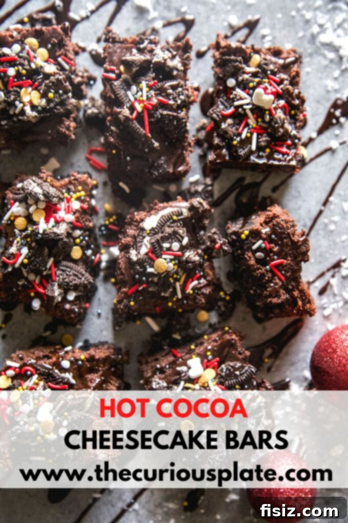 Decadent Hot Cocoa Cheesecake Bars 9 Close-up of Hot Cocoa Cheesecake Bars with Fudge Swirls