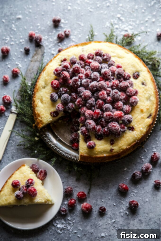 Effortless Eats for a Sparkling New Year 7 Easy Cranberry Ricotta Cake