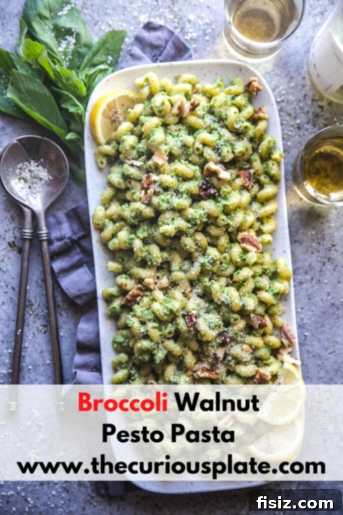Vibrant Broccoli Walnut Pesto Pasta 11 A beautifully presented bowl of Broccoli Walnut Pesto Pasta, ready to be enjoyed