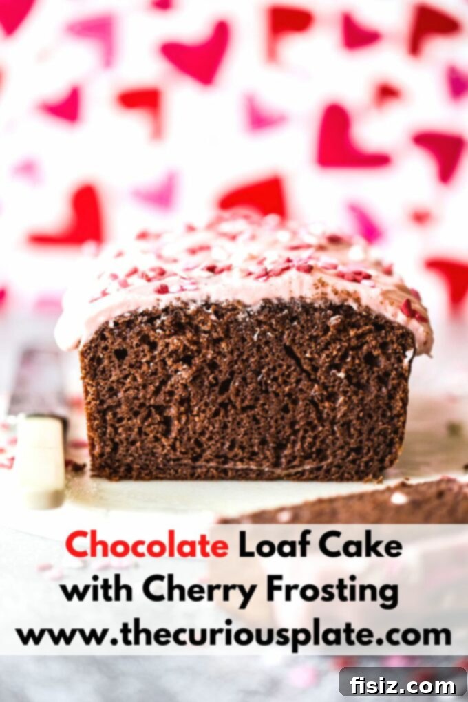 Beautifully presented chocolate loaf cake with cherry frosting, ready to be enjoyed, from www.thecuriousplate.com