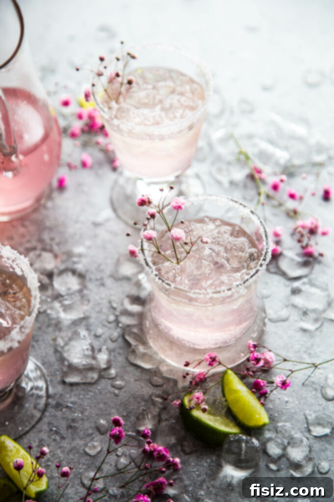 Savor Spring 30 Plus Fresh Recipes 4 Pink Champagne Margaritas - A festive and vibrant spring drink recipe.