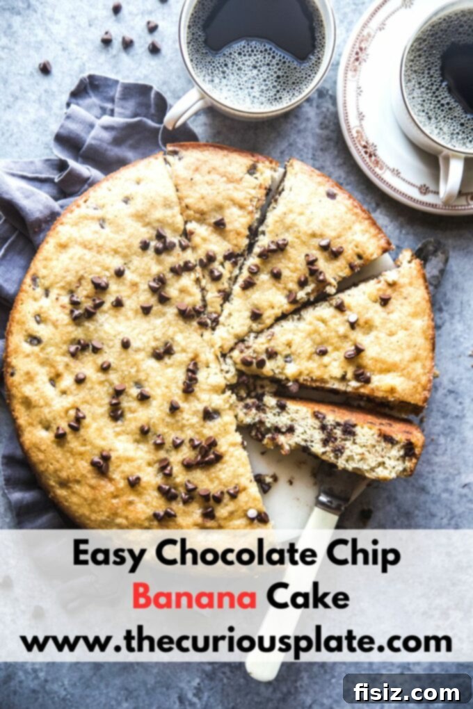 Quick Chocolate Chip Banana Cake 10 Close-up of a delightful slice of chocolate chip banana cake