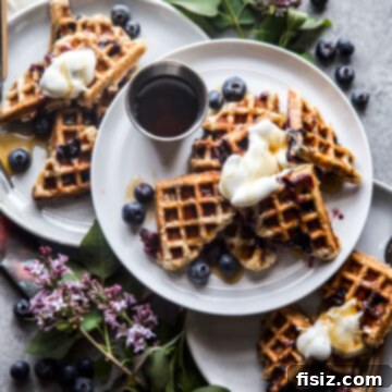 Protein-Packed Blueberry Cottage Waffles 11 cottage cheese protein waffles