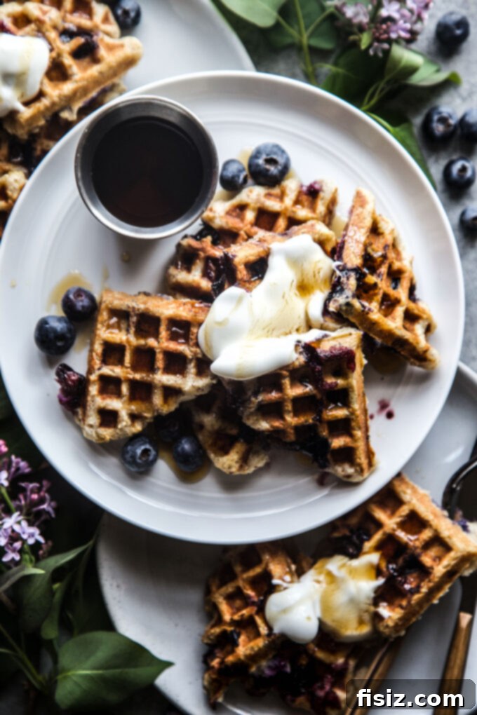 Protein-Packed Blueberry Cottage Waffles 3 Cottage cheese waffle batter with fresh blueberries